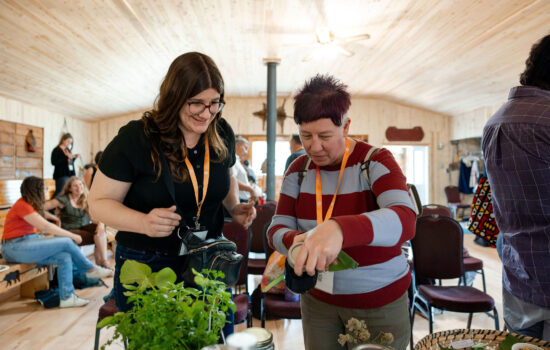 Farm to Cafeteria Canada; Équiterre