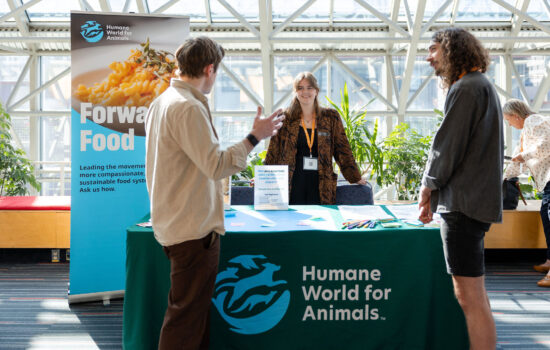 Farm to Cafeteria Canada; Équiterre